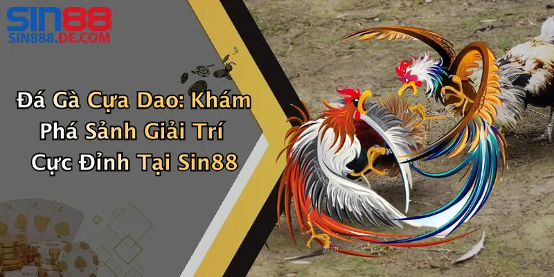 Đá Gà Cựa Dao: Khám Phá Sảnh Giải Trí Cực Đỉnh Tại Sin88 5 Đá Gà Cựa Dao: Khám Phá Sảnh Giải Trí Cực Đỉnh Tại Sin88