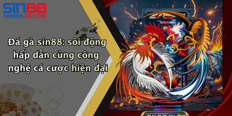Đá gà sin88: sôi động hấp dẫn cùng công nghệ cá cược hiện đại