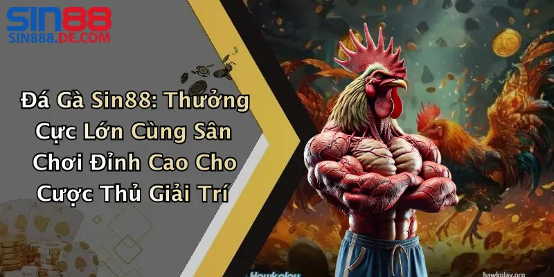 Đá Gà Sin88: Thưởng Cực Lớn Cùng Sân Chơi Đỉnh Cao Cho Cược Thủ Giải Trí