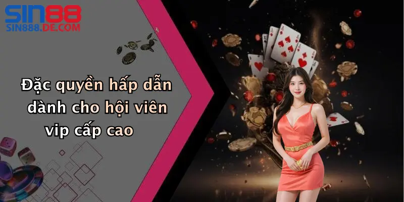 Đặc quyền hấp dẫn dành cho hội viên vip cấp cao