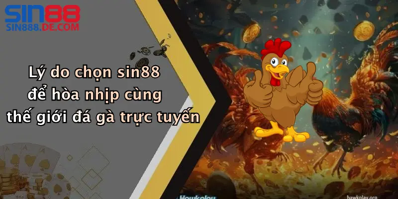 Lý do chọn sin88 để hòa nhịp cùng thế giới đá gà trực tuyến