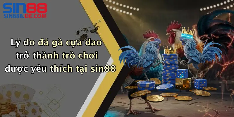 Lý do đá gà cựa dao trở thành trò chơi được yêu thích tại sin88