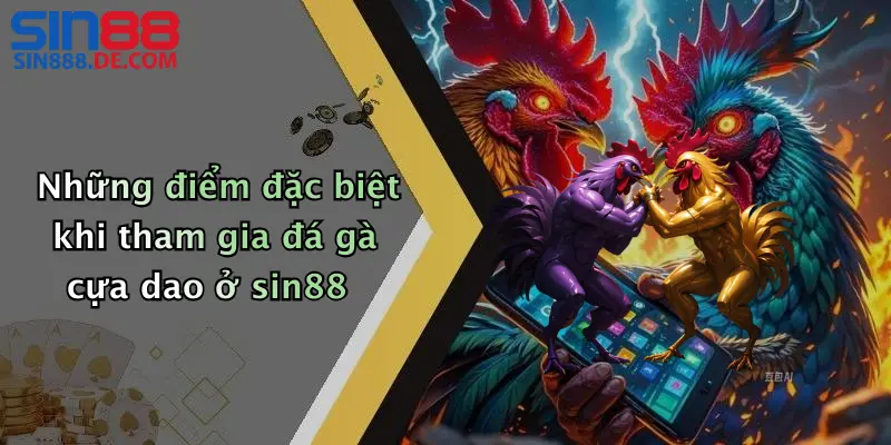 Những điểm đặc biệt khi tham gia đá gà cựa dao ở sin88