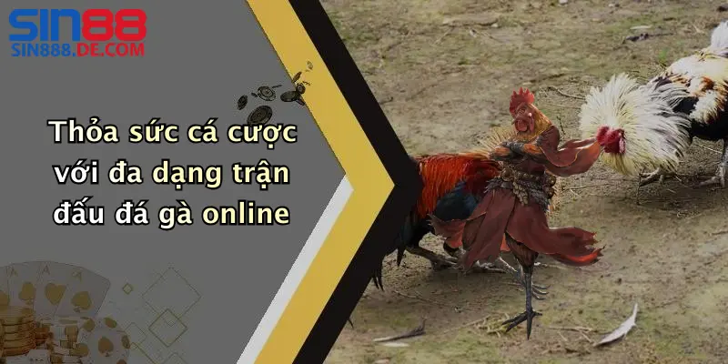 Thỏa sức cá cược với đa dạng trận đấu đá gà online